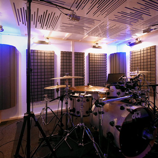 vicoustic flexi a50 panel